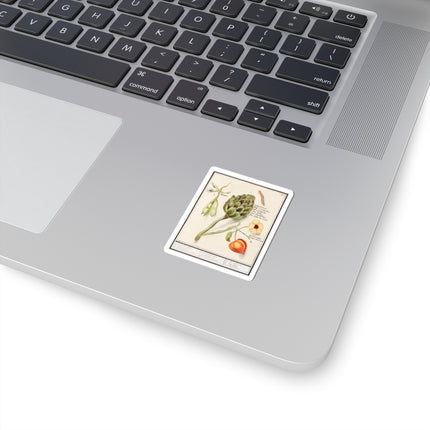 Artichoke, Cynara scolymus, broad beans, Vicia faba and lampion plant, Physalis by Anselmus Boëtius de Boodt Kiss-Cut Stickers (4 Sizes)
