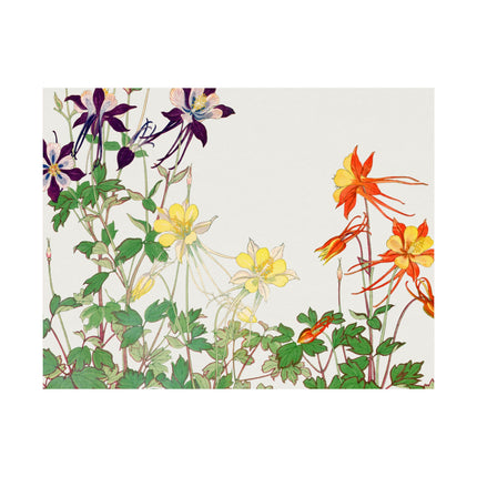 Aquilegia Flower by Tanigami Kônan Premium Matte horizontal posters