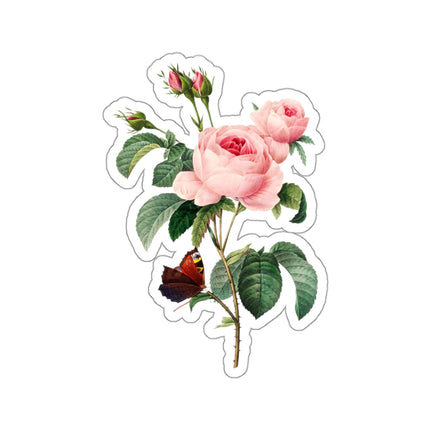 Cabbage Rose botanical illustration by Pierre-Joseph Redouté Kiss-Cut Stickers (4 Sizes)