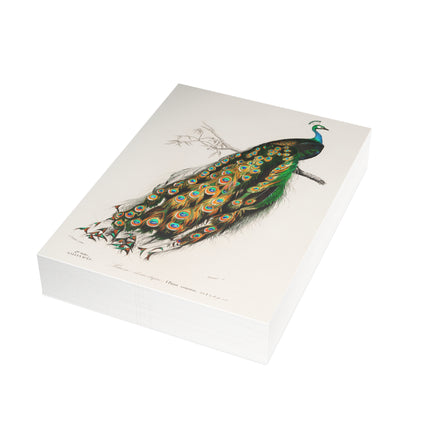Indian Peafowl by Charles Dessalines D'Orbigny Postcards (envelopes included) - Bundles of 10, 30, 50 Pieces
