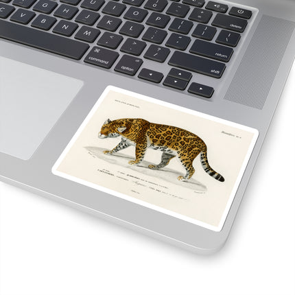 Jaguar by Charles Dessalines D' Orbigny Kiss-Cut Stickers (4 Sizes)