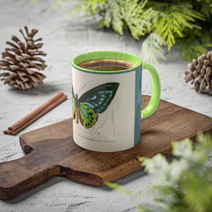 Green Birdwing by Charles Dessalines D' Orbigny Colorful Mugs, 11oz